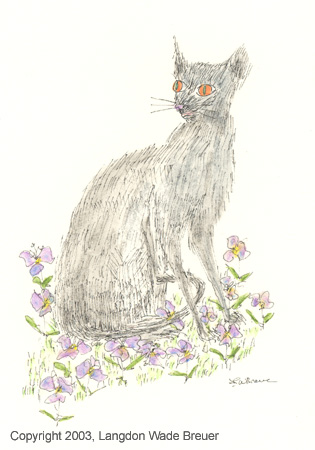 003 cat