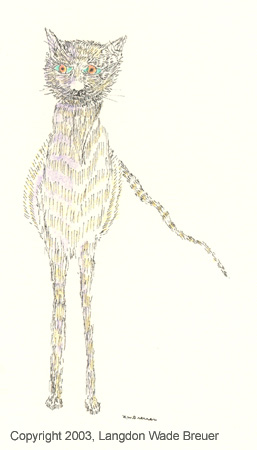 006 cat