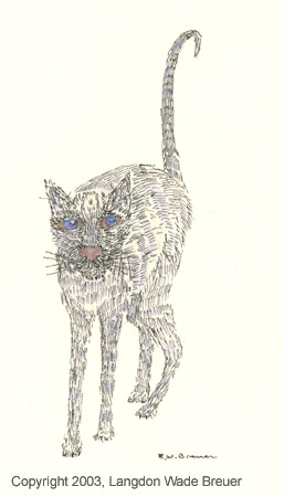 008 cat