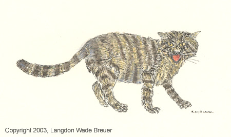 010 cat