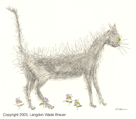012 cat