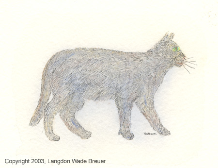 017 cat